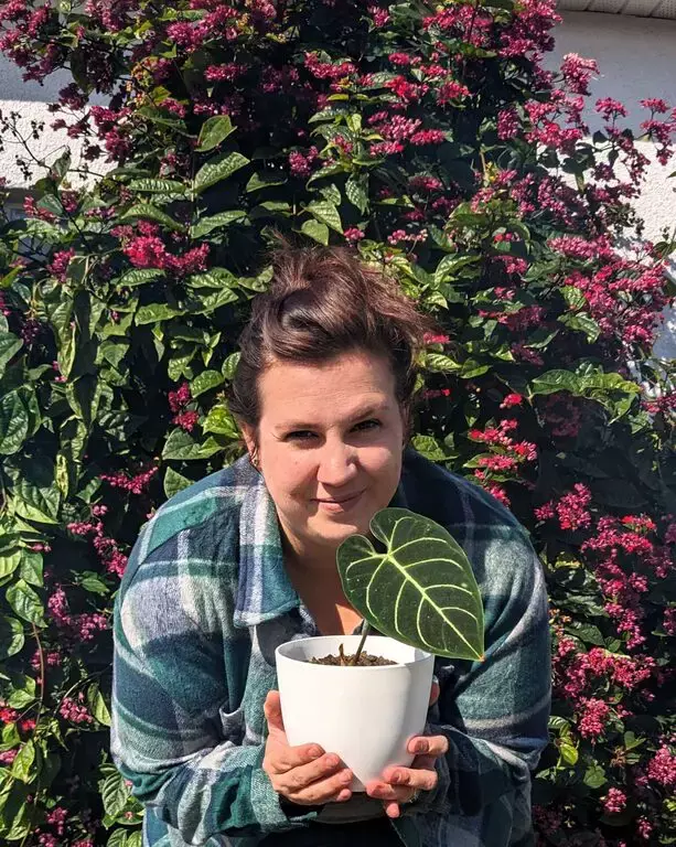 Katya Holding Plant